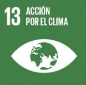 ODS 13